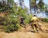 Autoritățile din regiunea Attica, Grecia, rămân în alertă maximă din cauza riscului ridicat de incendii de vegetație