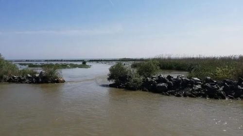 Piedicile care întârzie Danubius, platforma majoră de cercetare la Dunăre-Deltă: pe lângă pandemie și Ucraina, e bătălia cu birocrația