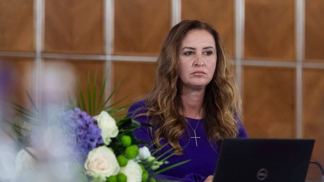 Ministrul Culturii: Voi analiza oportunitatea scoaterii din ţară a obiectelor inestimabile. Contractele, încheiate mai atent / Oportunitatea organizării expoziţiei cu artefactele dacice în Olanda a fost decisă de conducerile MNIR şi Ministerului Culturii de la vremea respectivă