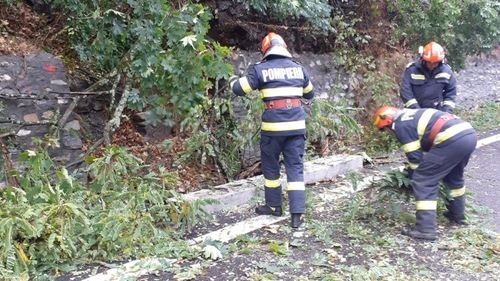 Trafic rutier îngreunat pe DN 7, în zona localităţii Brezoi, în urma unor căderi de pietre şi a prăbuşirii unui copac/ Un autoturism, avariat