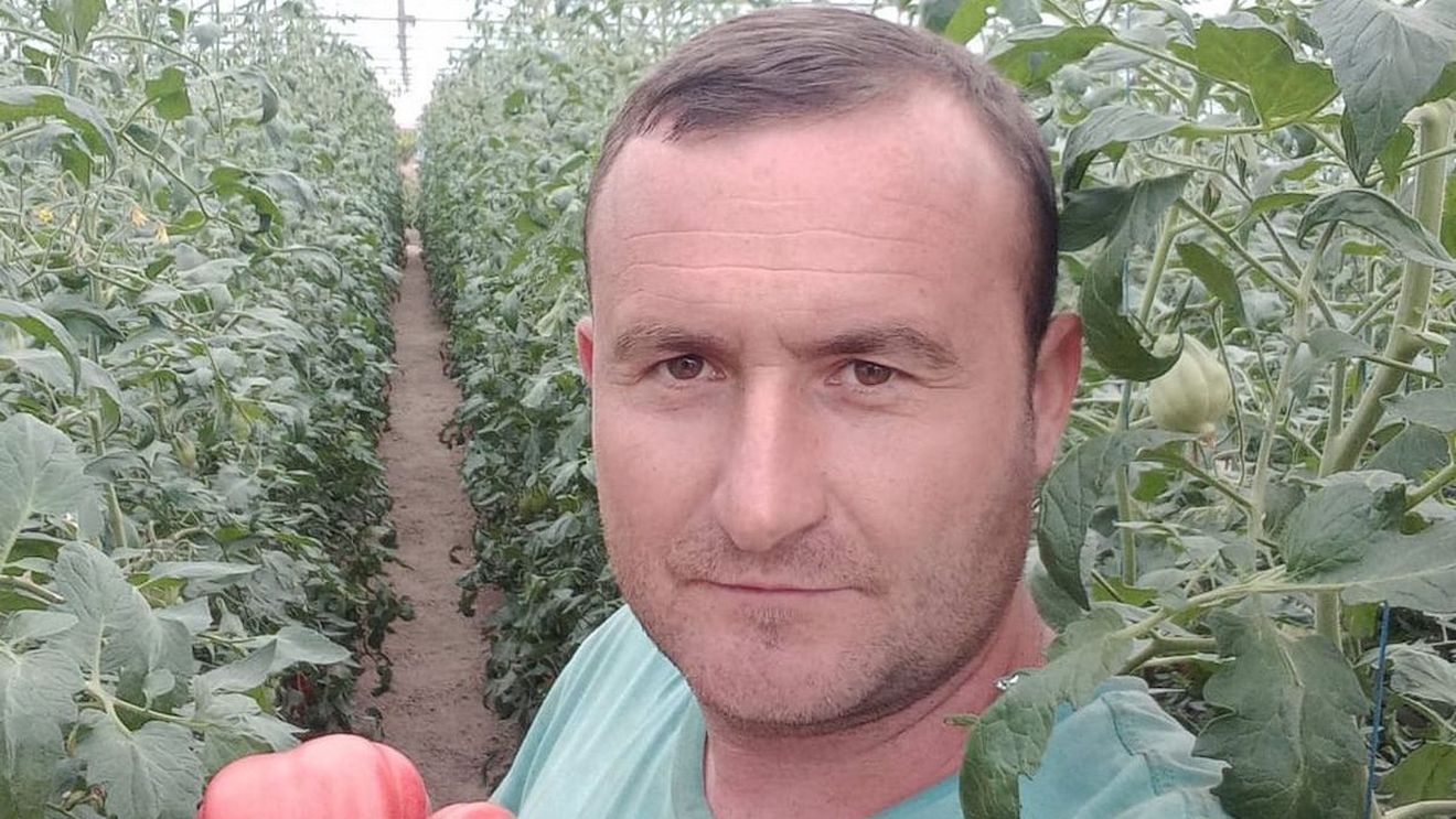 Un fermier din Gorj cultivă roșii-gigant, care ajung să depășească 1,5 kg / ”Pentru 1.000 de semințe am dat 4.000 de lei”