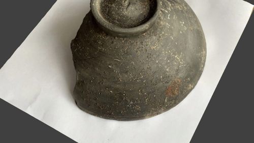 Descoperiri arheologice din perioada dacică în municipiul Sfântu Gheorghe / A fost găsit un schelet de copil și rămășițele unui cal și de la doi purcei / ”Aceste noi cercetări au condus la descoperiri de obiecte şi peisaje arheologice remarcabile”