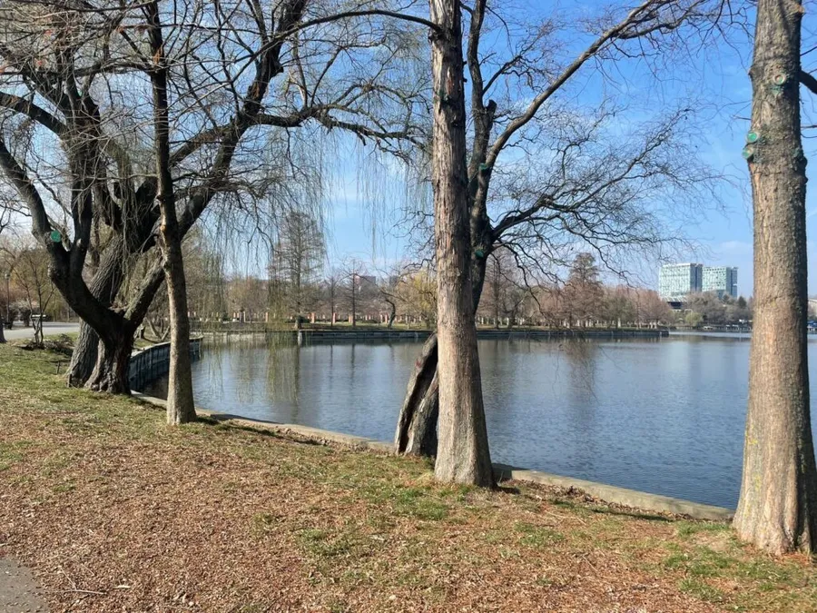 Maluri înainte de consolidare, Lacul Herăstrău