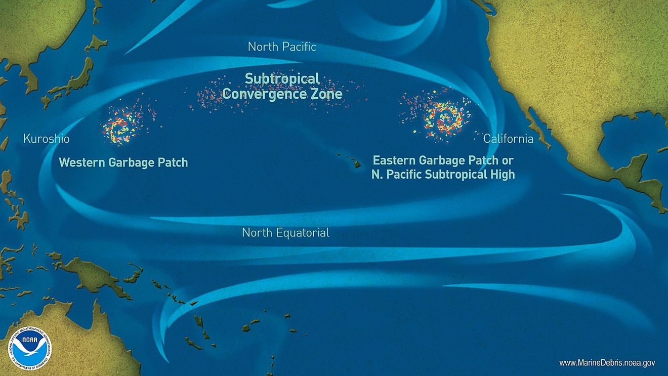Marea insulă de gunoaie din Pacific este acum atât de mare încât un ecosistem de coastă prosperă pe ea