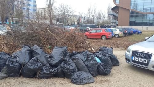 Ciolacu, după ce Clotilde Armand l-a provocat la o plimbare prin sector: Oriunde ai merge, ceea ce odată se numea Sectorul Verde este acum plin de mult praf, bănci şi coşuri de gunoi rupte sau lipsă şi, peste toate, multă, foarte multă mizerie. Un Sector al gunoaielor!