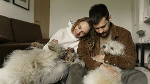 Unul din trei proprietari de animale de companie crede că Mercur retrograd influențează modul în care se comportă animalele lor de companie / Cum poate fi depășit acest moment