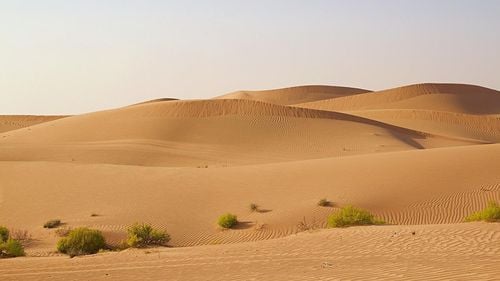 Doi soți ruși torturați, uciși și îngropați în deșert, în Emiratele Arabe / Dețineau criptomonede în valoare de 500 de milioane de dolari / Erau acuzați de fraudă, acasă / Un fost ofițer de poliție rus a fost arestat pentru uciderea lor