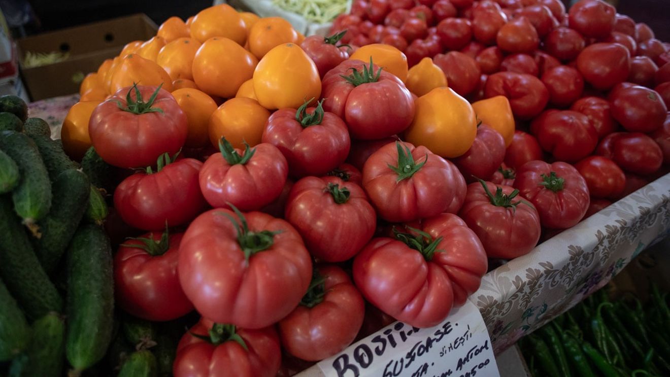 Lanțul alimentar: România a vândut Ucrainei cereale și semințe oleaginoase în valoare de peste 10 milioane de euro / Țara devastată de război a cumpărat și legume românești