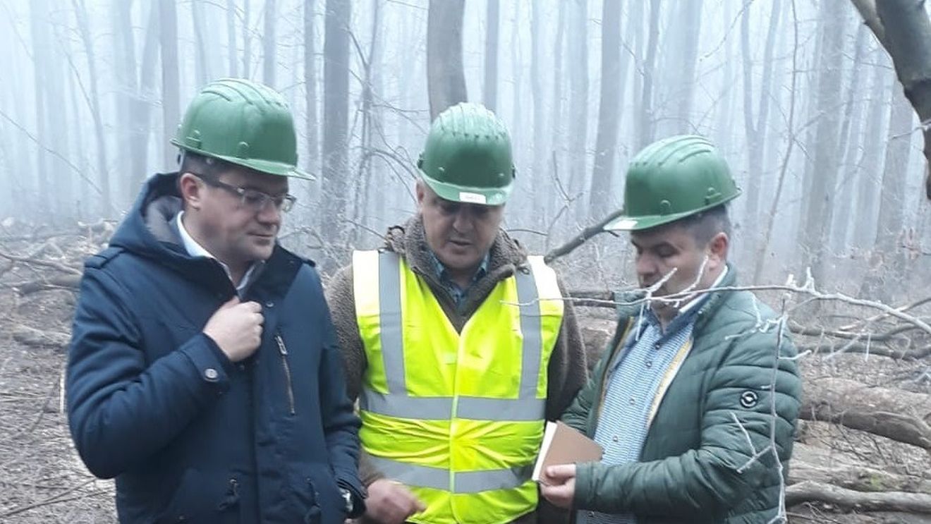 Costel Alexe: La Mediu au fost oamenii unor grupuri de interese care voiau să fure pădurile României/ 112 va fi operațional și la Ministerul Mediului