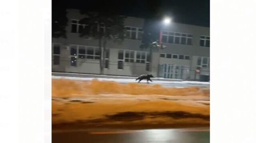 Un nou mesaj RO-ALERT în Prahova, în Găgeni, la 12 km de centrul Ploieștiului / Este al doilea mesaj, după un altul, transmis sâmbătă noapte