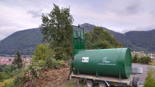 Pândă pentru ursoaica din Brașov / Primarul Allen Coliban anunță măsurile care s-au luat pentru prinderea urșilor care pun în pericol viața brașovenilor