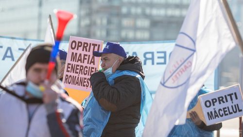 Sindicatele de la ALRO Slatina și de la Alum Tulcea protestează luni în fața Guvernului
