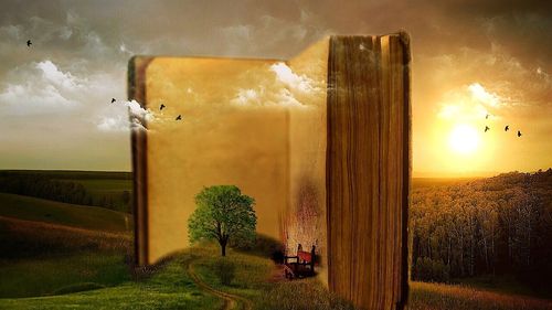 Ce citesc copiii în vacanță. Cărțile recomandate pentru elevii de clasele a V-a, a VI-a, a VII-a și a VIII-a de către profesoara de Limba română Ecaterina Stanca