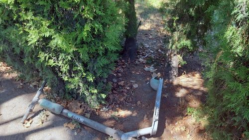 O fată de 15 ani a murit într-o comună din Argeș după ce s-a răsturnat cu trotineta electrică / Trotineta era condusă de către un băiat de 16 ani