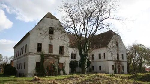 Proiect pentru Castelul din Banloc din Timiș: fosta reședință regală va fi transformată în complex turistic / Regina Elisabeta a Greciei, fiica Regelui Ferdinand, a cumpărat castelul în 1935 și l-a renovat complet