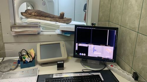 Mumie umană și organe umane mumificate, investigate cu ajutorul computerului tomograf la Universitatea de Științe Agricole și Medicină Veterinară din Cluj-Napoca