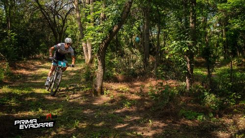 REPORTAJ FOTO | Prima Evadare 2025 – Eliberare pe două roți, prin pădurile salvate ale Capitalei și Ilfovului. Din Băneasa spre Snagov, pe urmele unei victorii civice