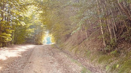 Drumul Mănăstirilor, o nouă rută turistică în Alba, care va lega Valea Mureșului cu Transapuseana. Autoritățile au semnat contractul de finanțare din bani europeni