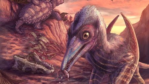 Descoperire spectaculoasă în Arizona / Primul pterozaur care a zburat în America de Nord