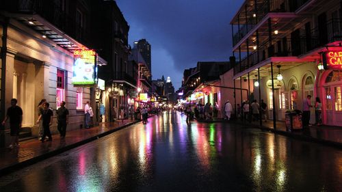 Poluarea luminoasă poate determina ecosistemele să elibereze mai mult carbon, potrivit unui nou studiu