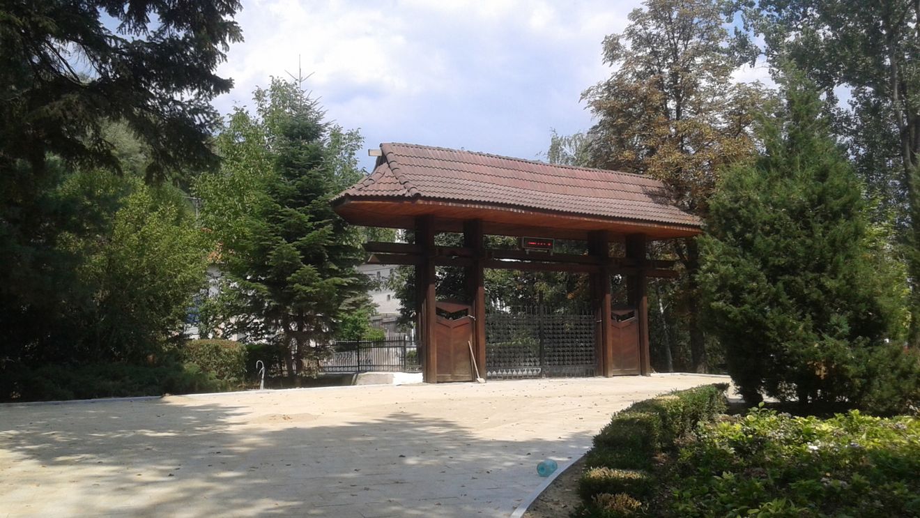 O bacterie extrem de agresivă a dus la defrișarea Parcului Zăvoi din Râmnicu Vâlcea / Mai sunt doar doi pini sănătoși