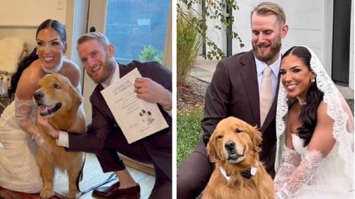 Avocata care câștigă o avere datorită câinelui ei: „Este un vis devenit realitate”. Cum a transformat un simplu hobby într-un imperiu digital (VIDEO)