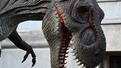 Parcul tematic din curtea Muzeului Geologic Naţional, oprit temporar de la funcţionare de ANPC / ”Unii operatori economici profită de inocenţa şi dorinţele copiilor”