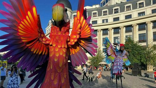 GALERIE FOTO Cum a fost la Festivalul de teatru în stradă B-FIT/ Animale și păsări gigatice, un pian pe care artiștii cântă dansând, muzică și mișcare pe apă