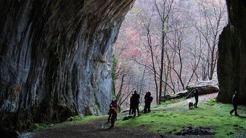 Afacerea ariilor protejate – o mărturie din interior. De ce a eliminat Guvernul custozii