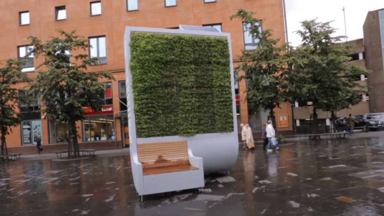 Primăria Brașov vrea să cumpere primul copac urban / Costă peste 300 de mii de lei, iar capacitatea de filtrare a acestui sistem este egală cu cea a 275 de arbori