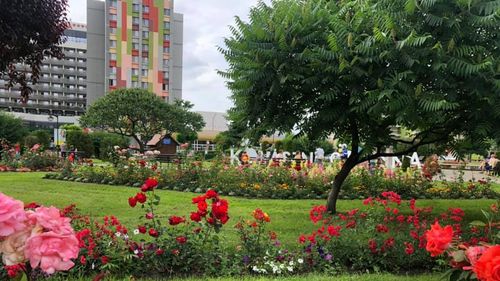 Aquapark de stat la Covasna. Ministerul Dezvoltării investește 64 de milioane de lei într-un centru balneoclimateric