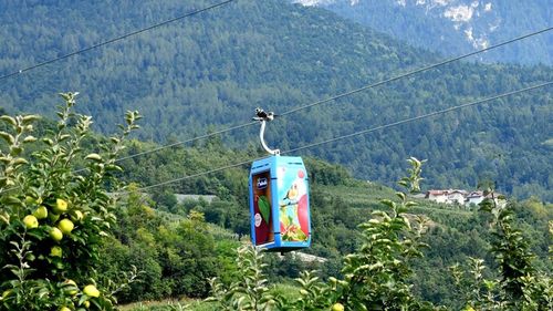 Primele mere din lume transportate și depozitate în grote naturale cu ajutorul telecabinei, în nordul Italiei. Instalația transportă merele cultivate pe versanți producând în același timp energie