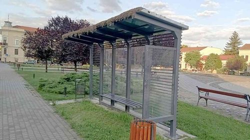 Primul acoperiş verde instalat pe o staţie de autobuz din Arad ar fi fost otrăvit / Analiza arată că vegetația a fost distrusă intenționat, cu un amestec de erbicid și o substanță chimică