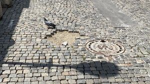 Dezastrul din Centrul Vechi al Bucureștiului, subiect de dezbatere în Primăria Capitalei. Consilieră USR către Nicușor Dan: ”Arată jalnic cum nu a arătat niciodată. Trebuie doar să aranjeze dalele existente, să le lipească, să facă fundaţia sub ele”