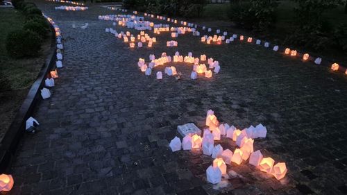 VIDEO | Festivalul Luminii la Alba Iulia: mii de gulguțe au fost aprinse de cercetași