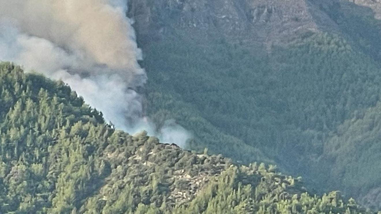 Un român a fost arestat în Grecia pentru provocarea unui incendiu. El susține că a vrut de fapt să stingă focul