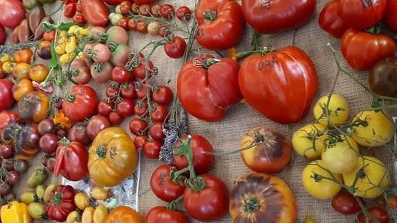Supermarketuri din Marea Britanie raționează fructele și legumele pe fondul penuriei