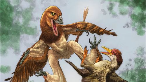 O descoperire din China rescrie istoria evoluției: Un dinozaur „cu patru aripi” trăia în urmă cu 120 de milioane de ani