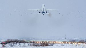 Un avion Lufhansa, care trebuia să ajungă duminică la Cluj, a aterizat la Budapesta / A lovit un stol de păsări