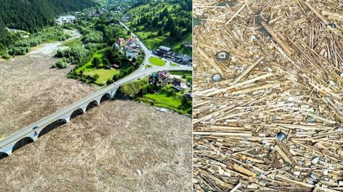 EXCLUSIV Broșteni, o economie dependentă de pădure. Localitatea din Suceava devastată de inundațiile din iulie 2025 se hrănește aproape complet din industria lemnului