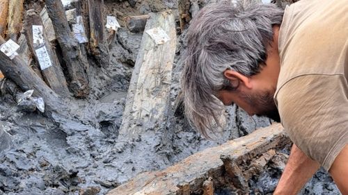 Urme de paşi fosilizate descoperite în Kenya demonstrează că două specii umane străvechi au coexistat în urmă cu 1,5 milioane de ani