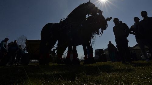 Trafic deviat de DN 10, care leagă Buzăul de Braşov, după ce un autoturism şi o căruţă s-au ciocnit/ Trei persoane au fost rănite
