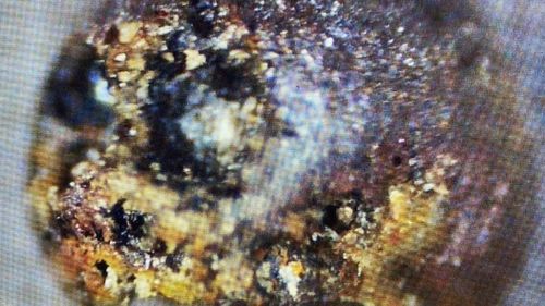 “Sferele metalice descoperite pe fundul Pacificului sunt artefacte de origine interstelară”, susține un controversat profesor de astro-fizică de la Harvard