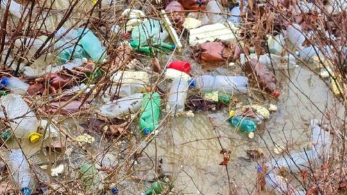 Vicepreşedintele CJ Maramureş: E ruşinos pentru România că pe Someş şi Tisa ajung în Ungaria şi 50-70 de peturi de plastic pe minut