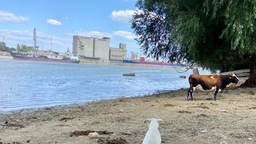 UPDATE Nou atac cu drone rusești asupra Ismailului/ A fost transmis mesaj RO- Alert pentru opt localități românești din Delta Dunării: "Adăpostiți-vă în beciuri sau adăposturi de protecție civilă"