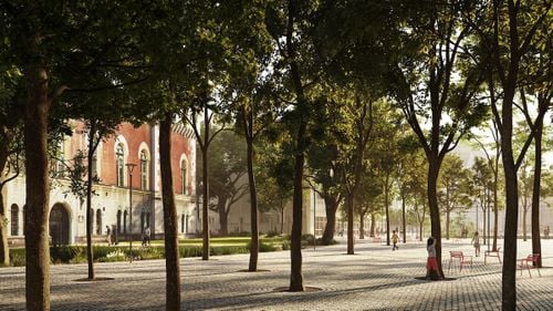 Mișcare ecologistă în Timișoara, pornită de la un grup de IT-iști / Au devenit cunoscuți după ce au udat copacii din oraș, noaptea, după zilele caniculare / ”Spre deosebire de autorități, noi putem să lucrăm și ziua și noaptea și oricând”