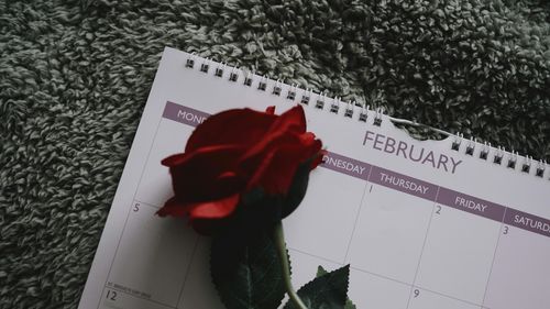 Singur de Valentine’s Day: de la stigmat social la alegere conștientă