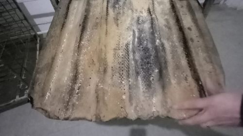 Opt localuri din Petroșani, închise temporar de Protecția Consumatorului / Mizerie și produse alimentare neconforme