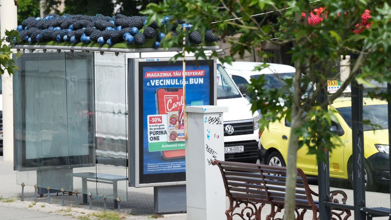 Primăria Craiova vrea să facă un nou parc în municipiu cu 47 de milioane lei / Parcul Cernele ar trebui să fie gata în 2 ani