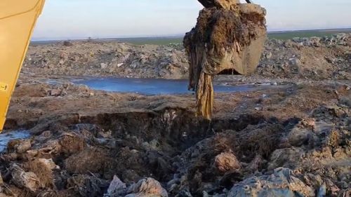 Specialiștii evaluează gradul de contaminare pe terenul unde au fost îngropate ilegal oile înecate pe nava eşuată în Portul Midia / Făptașii riscă o pedeapsă cu închisoare de până la 5 ani